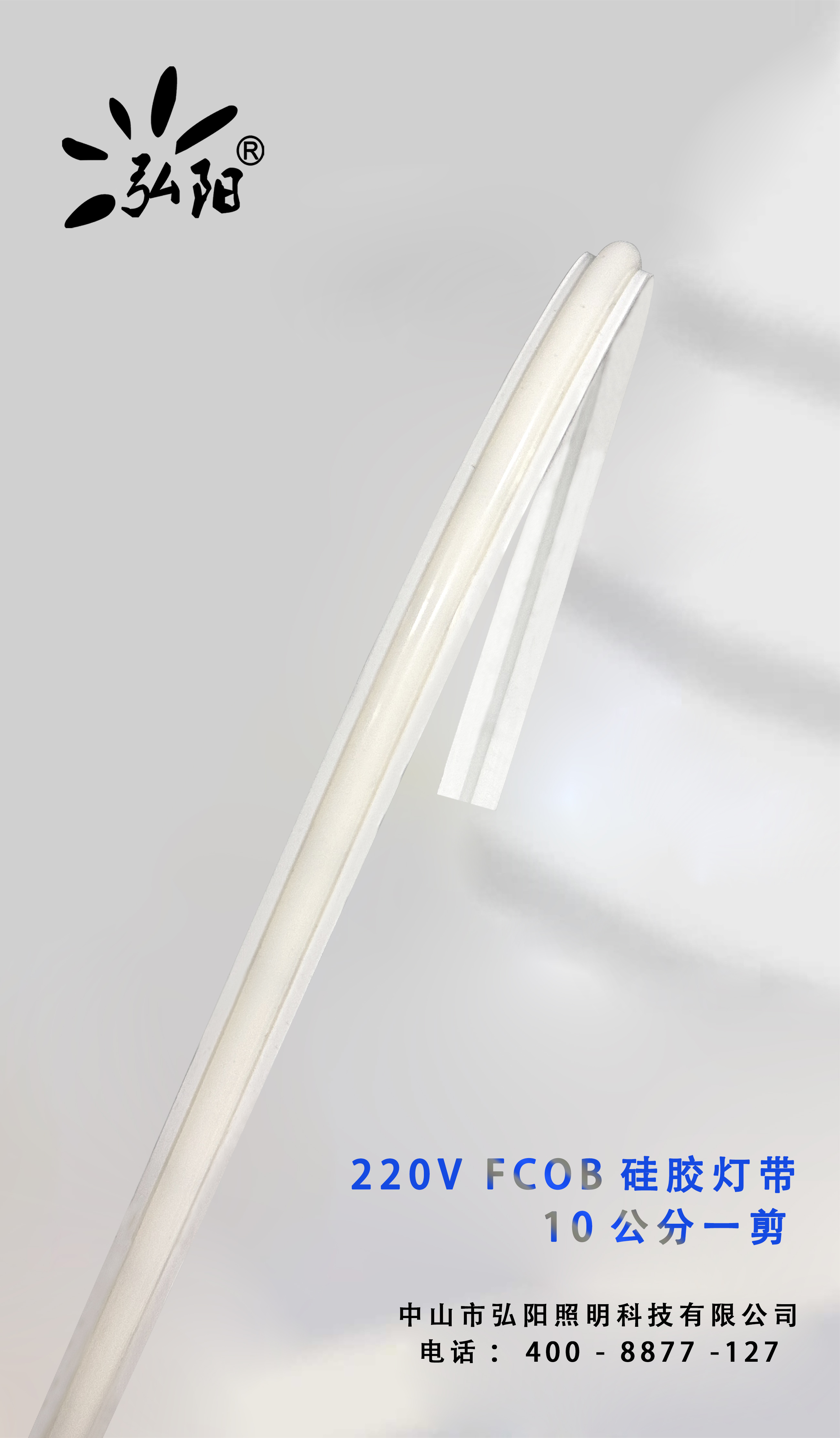220V FCOB 硅胶灯带