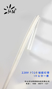 220V FCOB 硅胶灯带