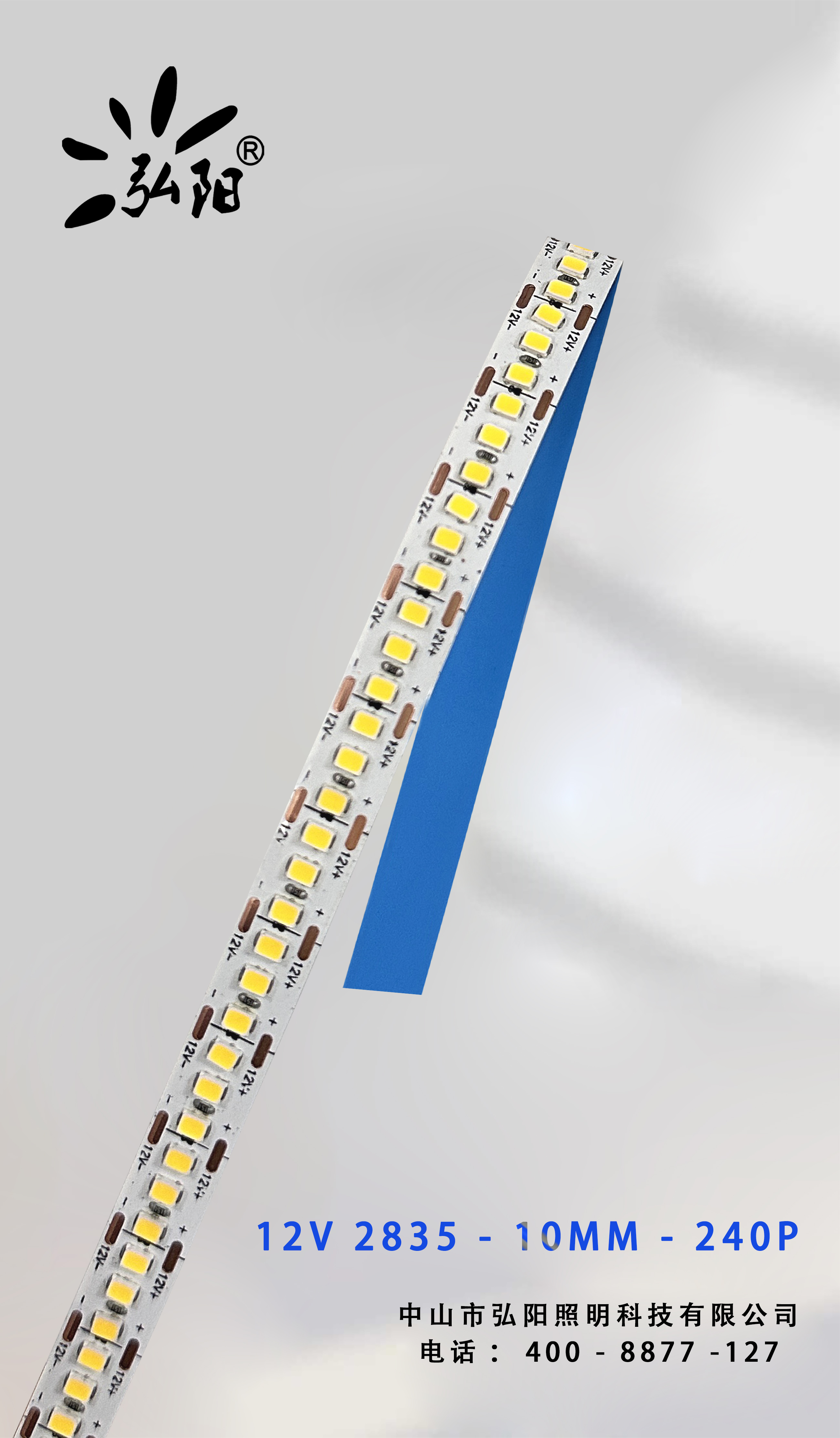 12V-2835-10MM-240P
