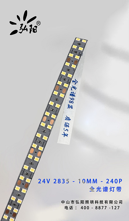 24V-2835-10MM-240P 全光谱