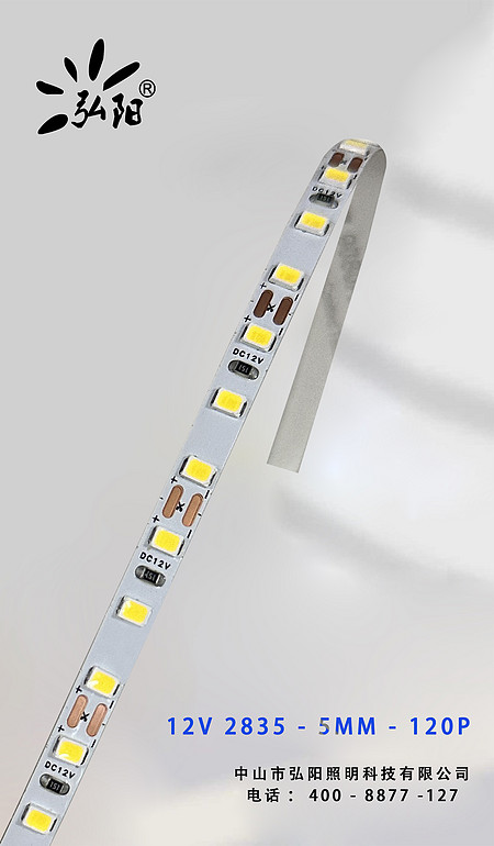 12V-2835-5MM-120P