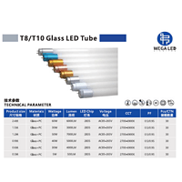 T8/T10玻璃led灯管