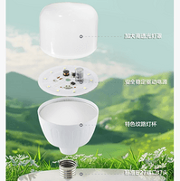 伟星精工智造 LED 灯泡