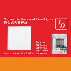 Interior built-in large panel light