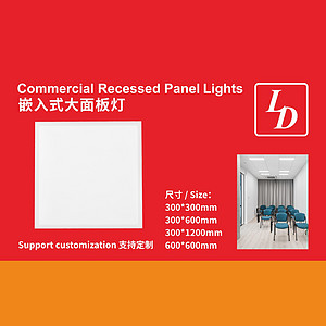 Interior built-in large panel light