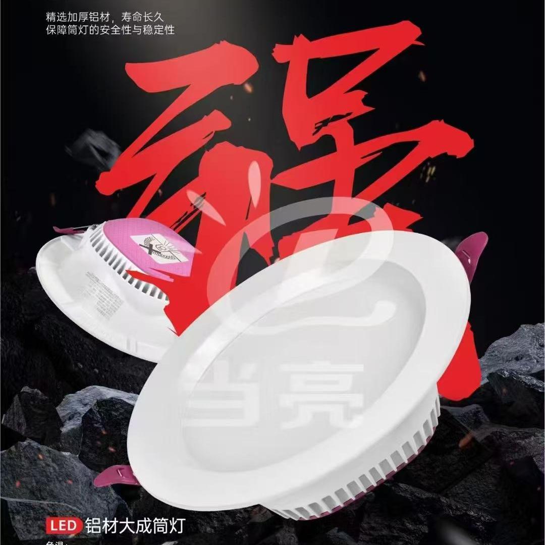 LED Super Bright All-Aluminum Downlight