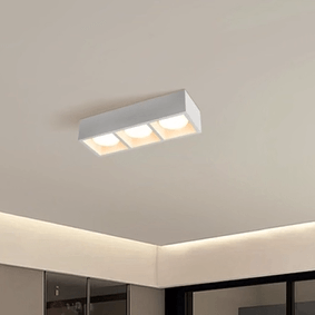 Minimalist Surface-Mounted Corridor Downlight