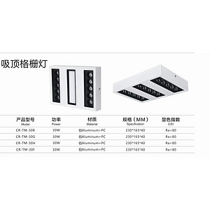 白色简约吸顶格栅灯