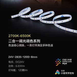 二合一調(diào)光調(diào)色LED自粘燈帶