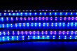 中山市满贴芯照明有限公司：LED 灯珠领域的深耕者