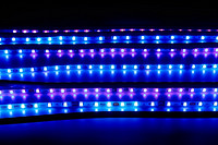 中山市满贴芯照明有限公司：LED 灯珠领域的深耕者