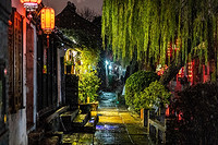 柳树灯的装饰效果与安装方法