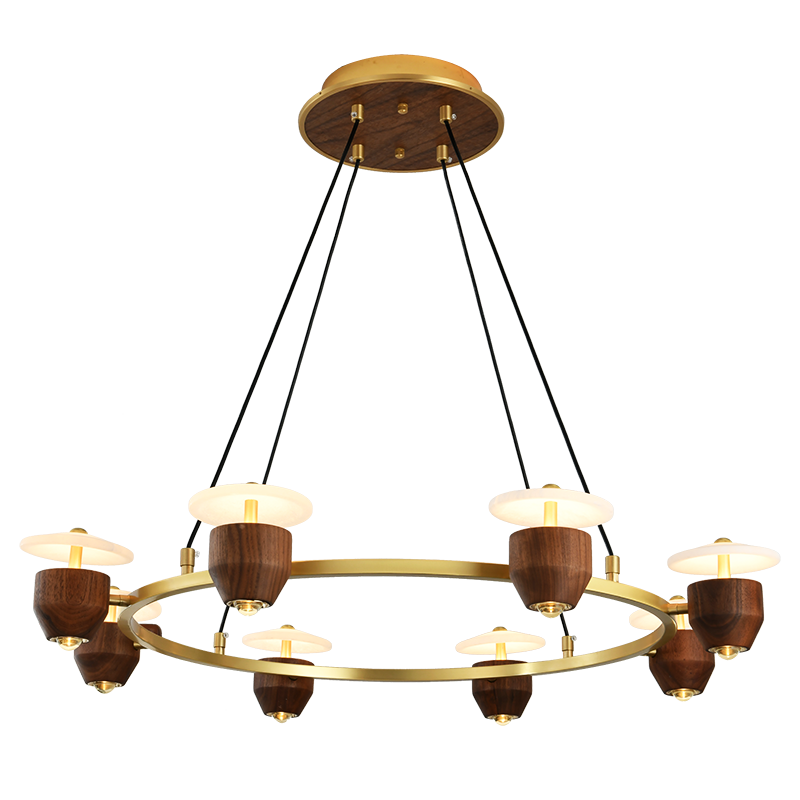 Personality simple living room chandelier