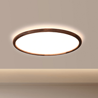 Eye-friendly energy-saving household ceiling lamp