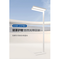 Full Spectrum Vertical Eye Care Lamp