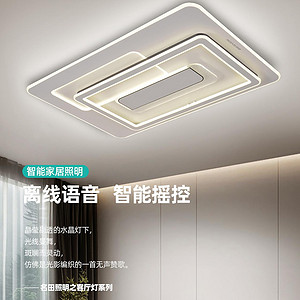 智能遥控加长客厅灯