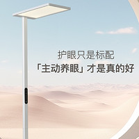 Lighting modern city LED eye protection floor lamp