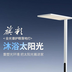 Full spectrum eye protection floor lamp
