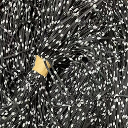 Outdoor waterproof decorative light strip