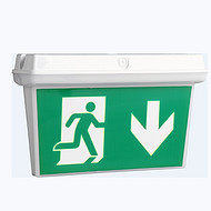Acrylic tag exit emergency light