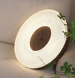 Simple modern eye protection retro LED ceiling light