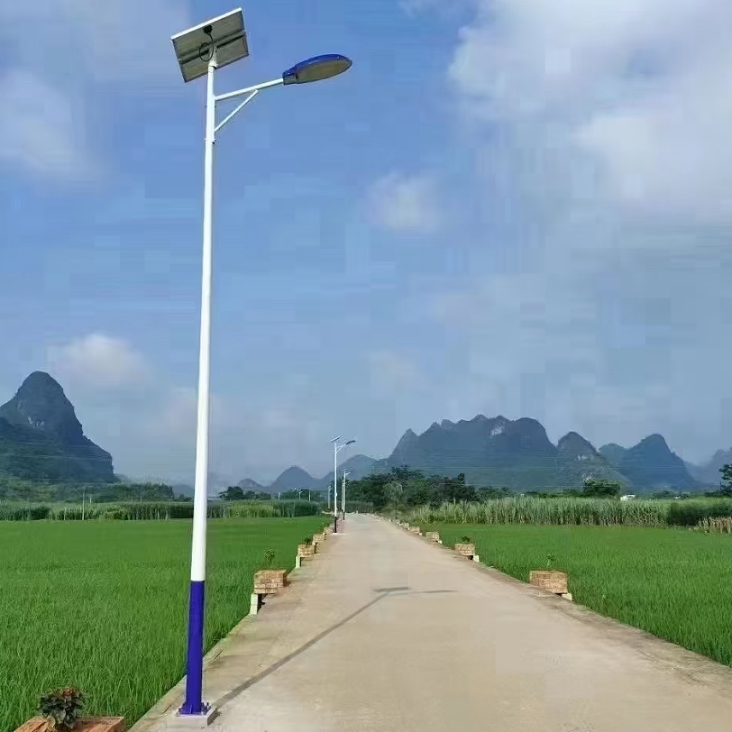 简约休闲田园LED路灯