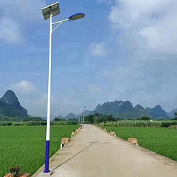 简约休闲田园LED路灯