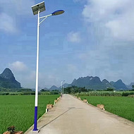 Simple and casual pastoral LED street lights