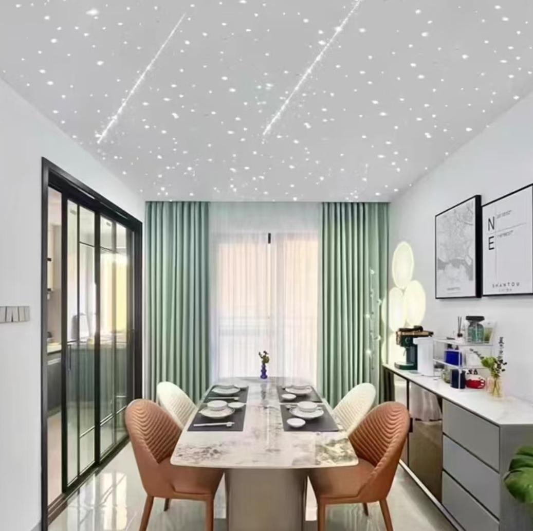 Starry Sky Living Room Ceiling Fiber Optic Light