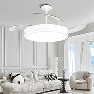 Silent energy-saving fan light