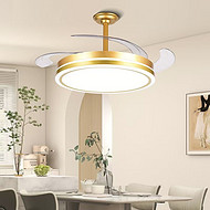 Smart remote control fan light