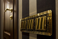 Elegant Gold Indoor Switches Add Luxury and Beauty