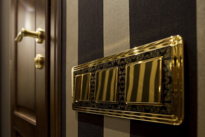 Elegant Gold Indoor Switches Add Luxury and Beauty