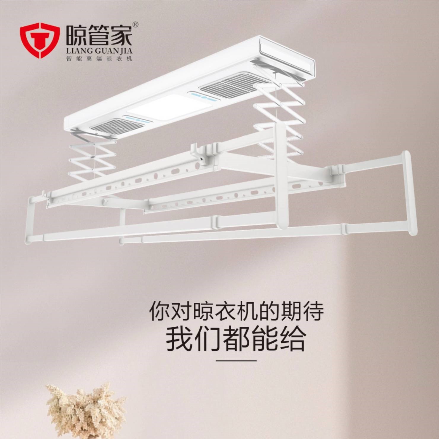 Electric drying rack intelligent remote control lifting horizontal