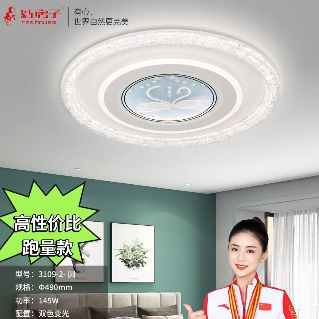 客厅大气现代吸顶灯