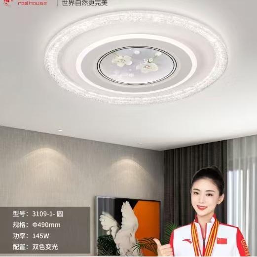 护眼简约主卧室灯