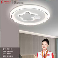 Living room atmospheric modern ceiling light