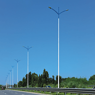 Double head and double arms aluminum street lamp