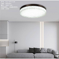 Modern style living room ceiling light