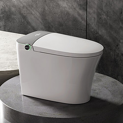 Fully automatic intelligent closestool siphon instant deodorization