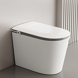 Intelligent closestool integrated siphon without water pressure dual water circuit