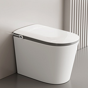 Intelligent closestool integrated siphon without water pressure dual water circuit