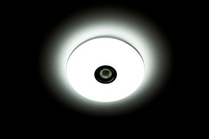 How Can Creative Garden Ceiling Lamps Enhance the User Experience?