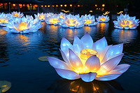 莲花节能灯节能艺术之光