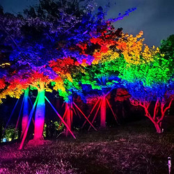 LED染树灯彩虹灯照树灯投光灯