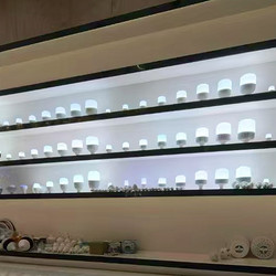 家用节能LED照明灯泡