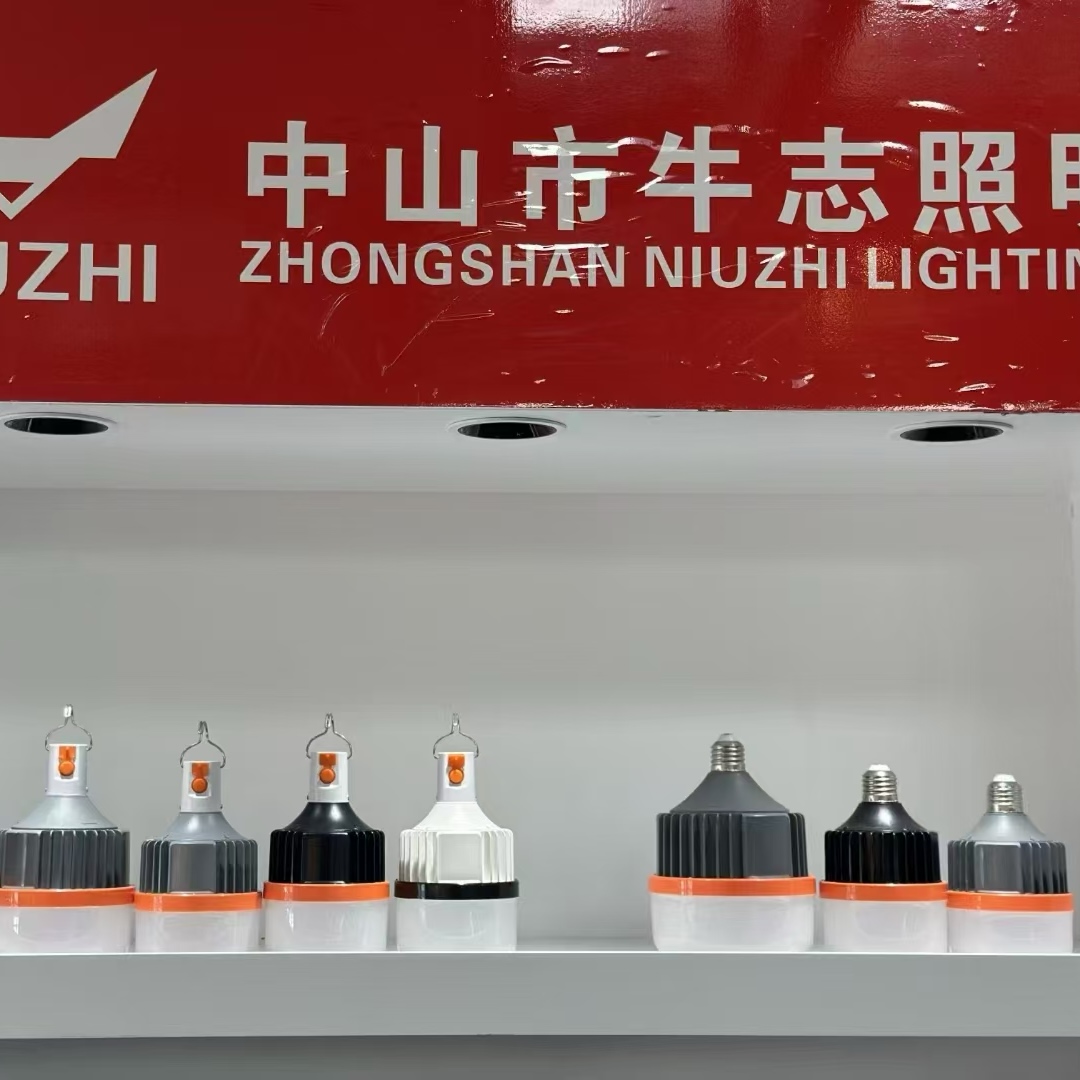 LED emergency rechargeable light bulb