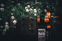 植物灯模组的设计思路