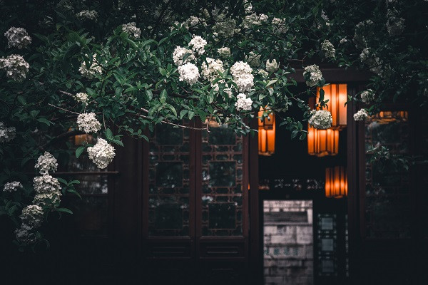 植物灯模组的设计思路