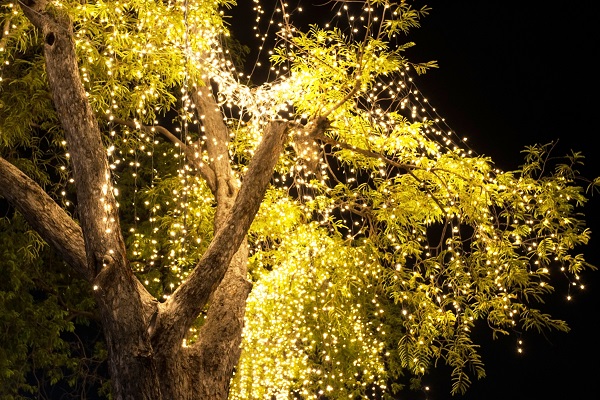 LED 灯树适合哪些应用场景？